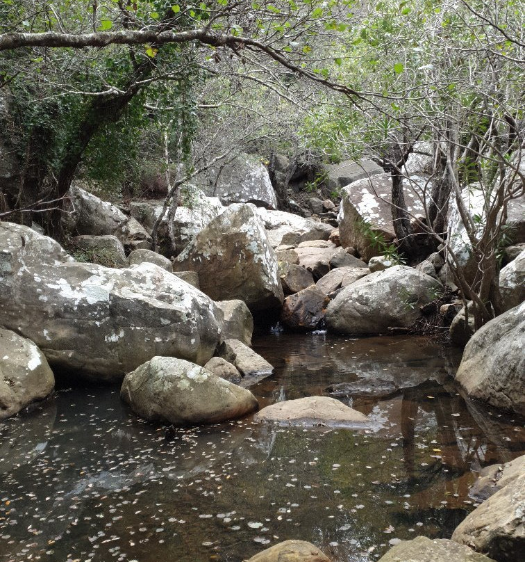 Sendero La Garganta del Capitan景点图片