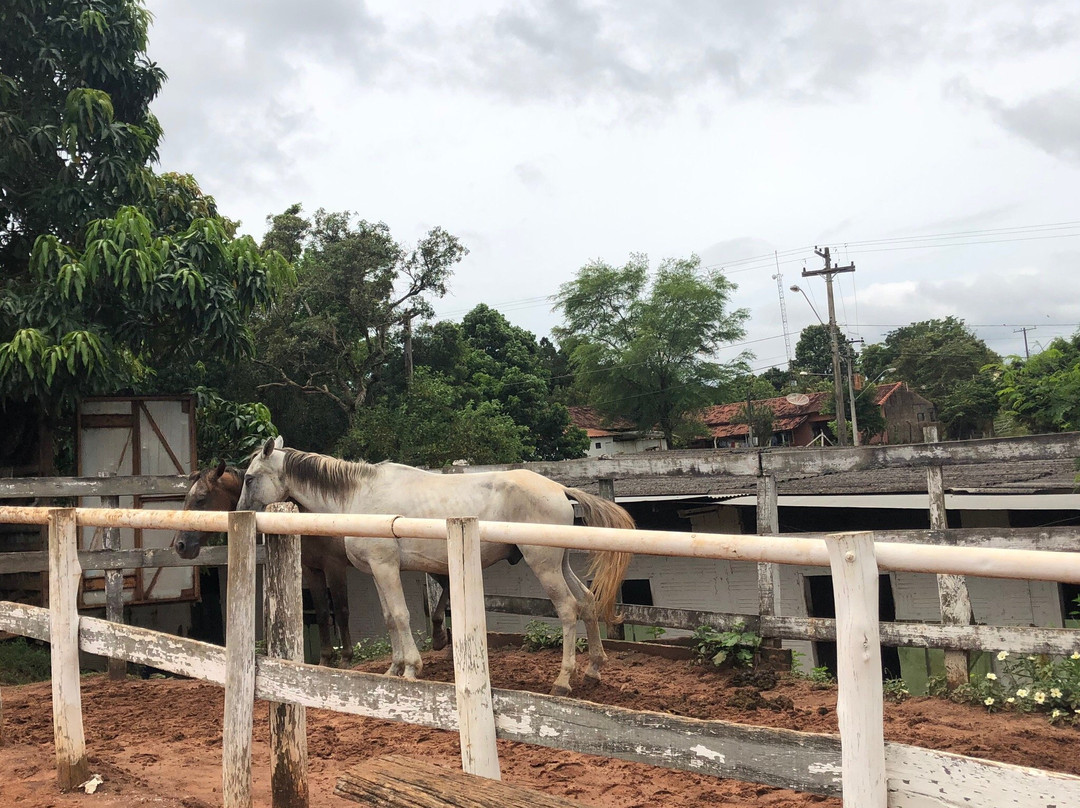 Rancho do Kajuba-Sao Pedro必去景点