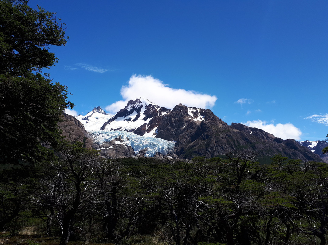 Viedma Glacier景点图片