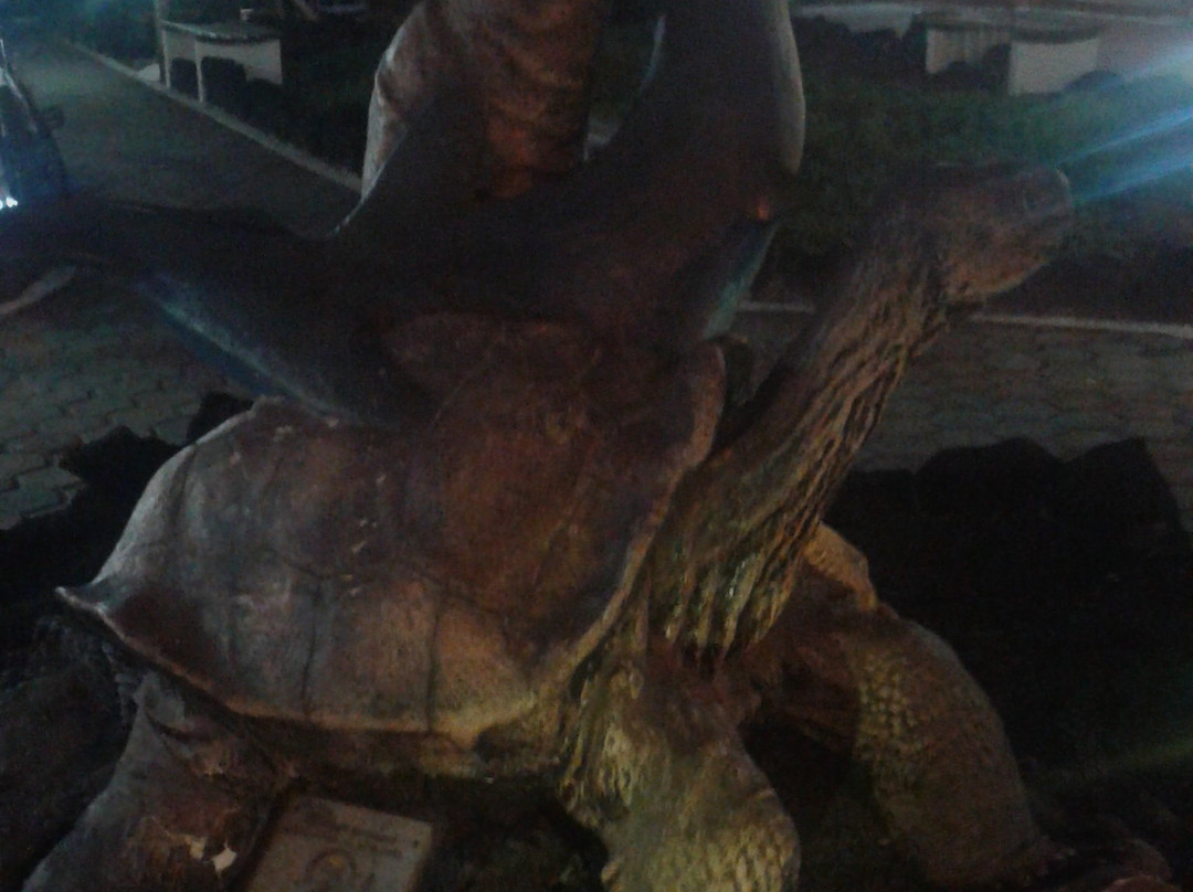 Monumento de la Tortuga-阿约拉港必去景点