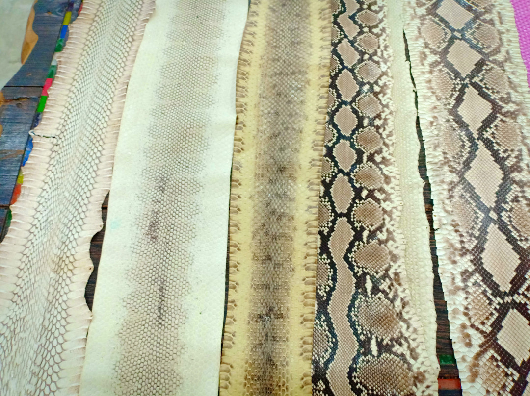Porosus Exotic Leather Shop-查龙必去景点