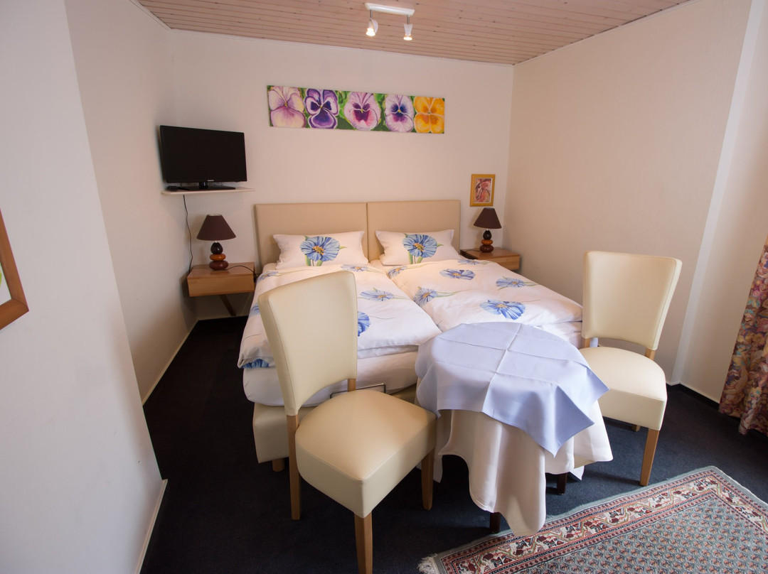 祖尔波斯特酒店 - 摩泽尔河畔城堡主图