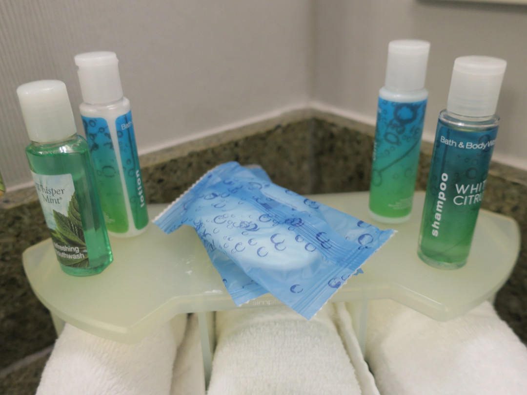 库珀斯敦快捷假日套房酒店主图