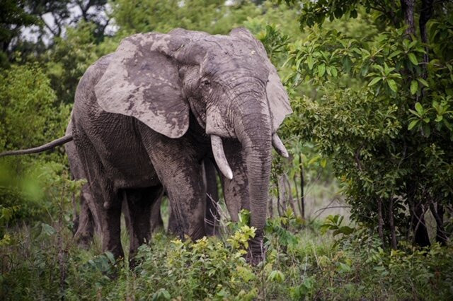 Uprise Travel-Tamale必去景点