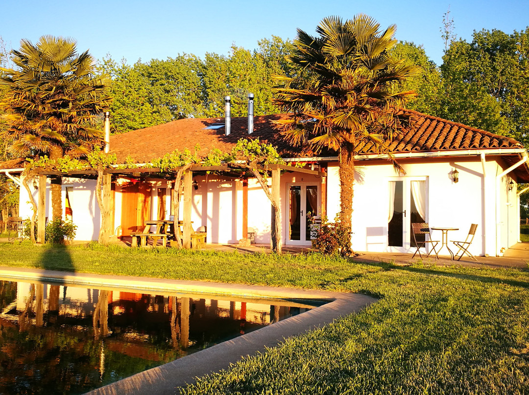 Hotel Viña Chillàn主图