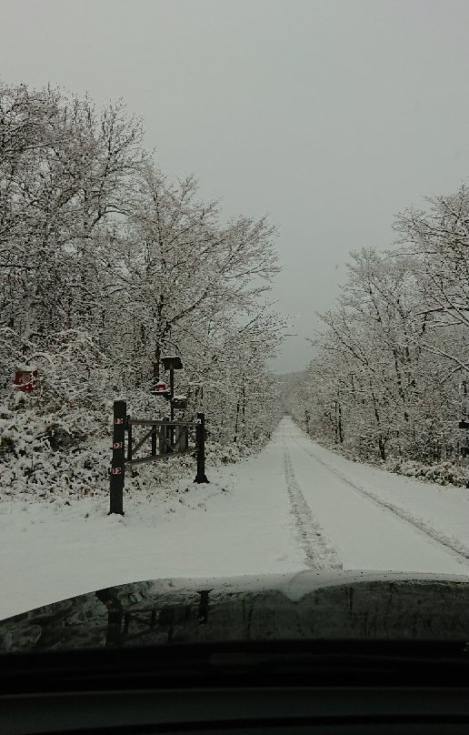 Tsurumi Pass-鹤居村必去景点