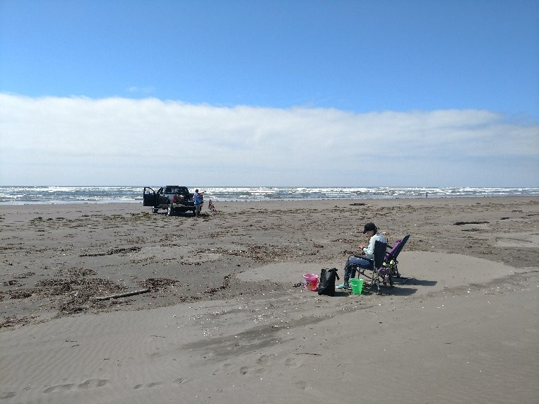 Grayland Beach State Park景点图片