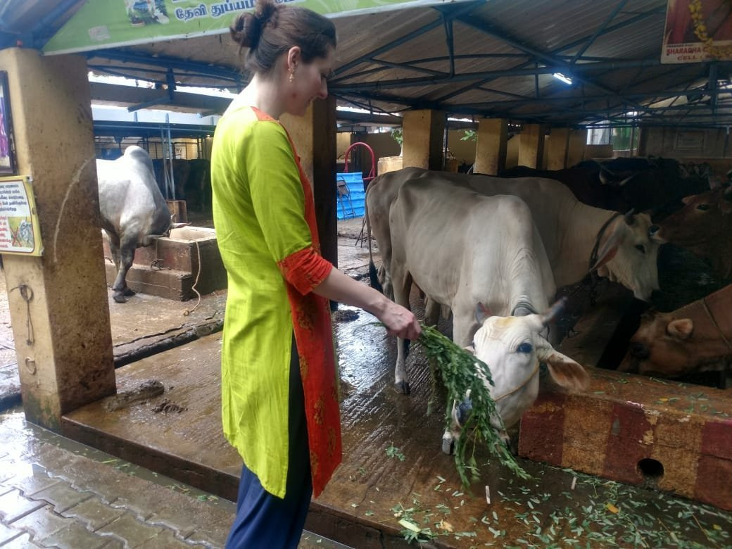 Ethnic Experiences-金奈（马德拉斯）必去景点