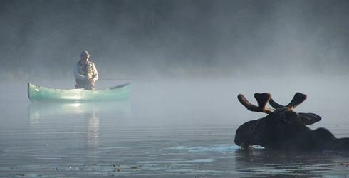 West Bethel Motel主图