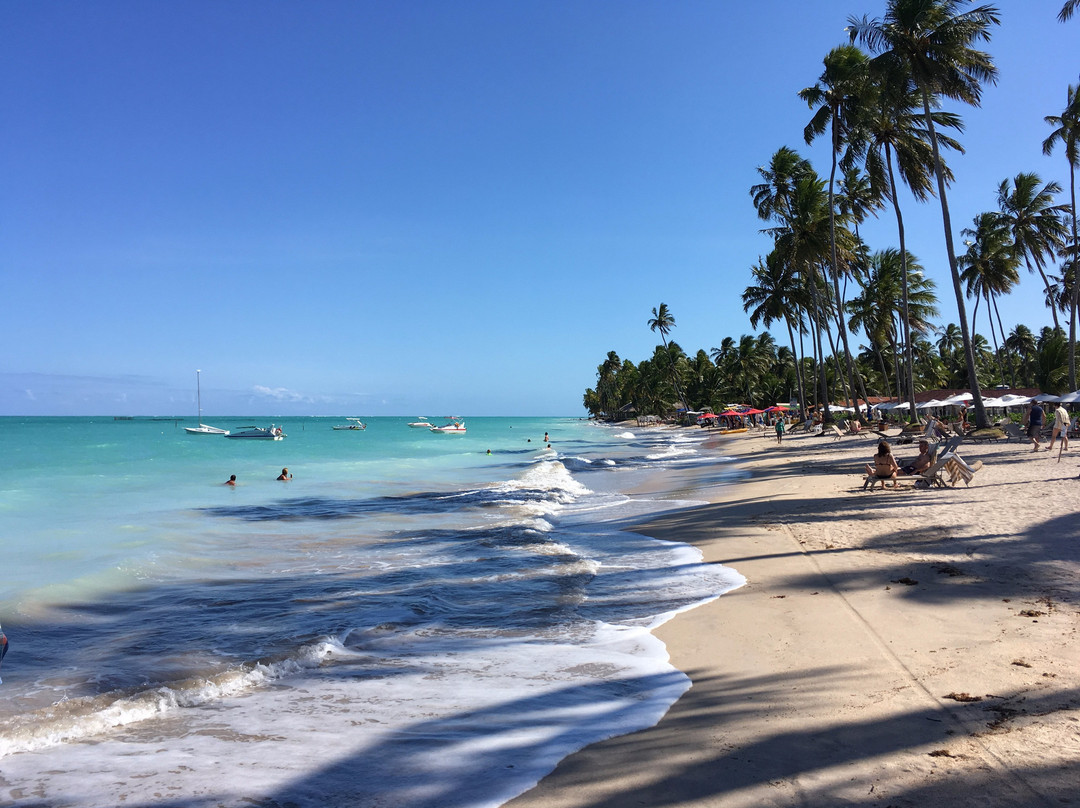 Mota Turismo-Maragogi必去景点