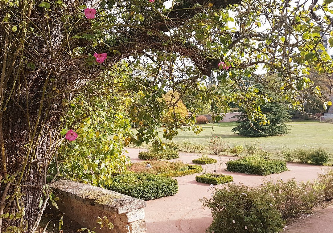 Le Domaine de l'Abbaye et ses Jardins Thematiques景点图片