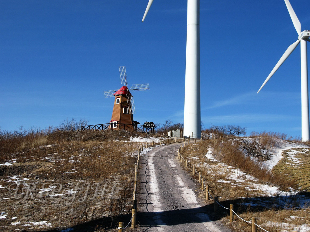 Maebongsan Wind Power Plant Complex-太白市必去景点