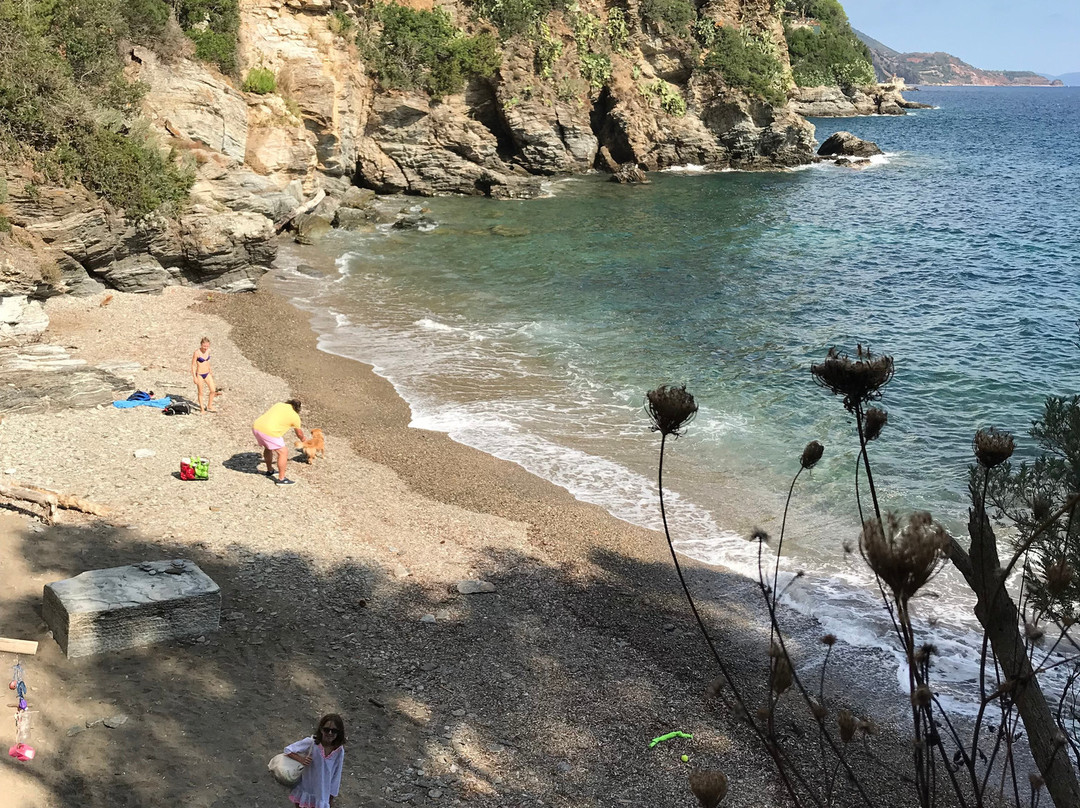 Spiaggia Luisi d'Angelo景点图片