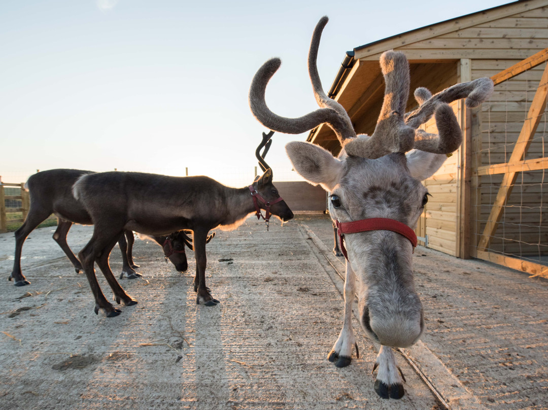 Hogshaw Farm & Wildlife Park-Hogshaw必去景点
