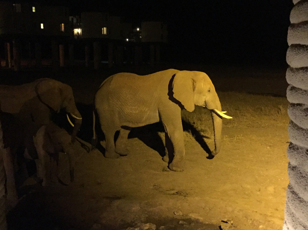 萨洛瓦萨尔特利克游戏旅馆主图