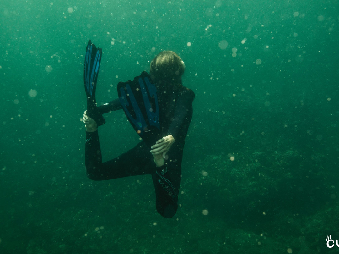 Colombia Underwater Expeditions-Arusi必去景点