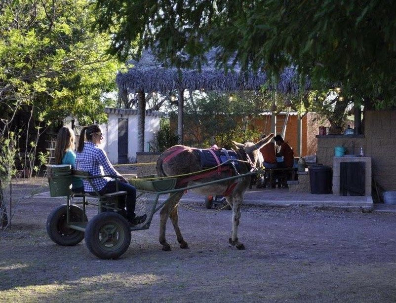 Eco Camp Inn Parque Camping Safari景点图片