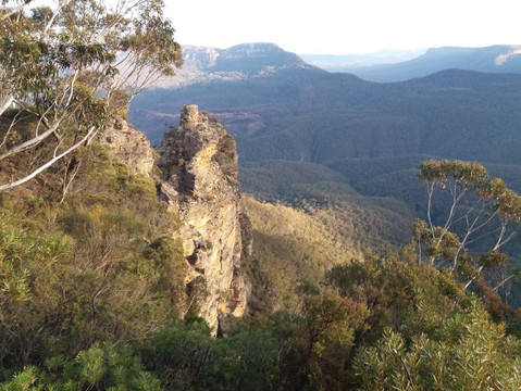 Wildlife Tours Australia-悉尼必去景点