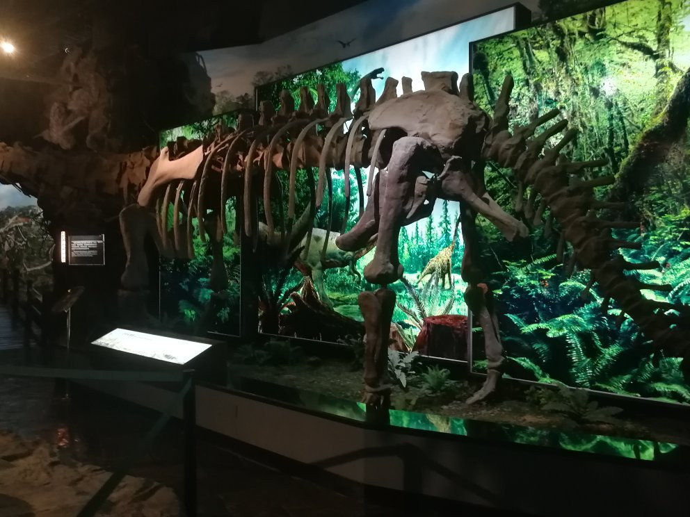 十堰博物馆-十堰市必去景点