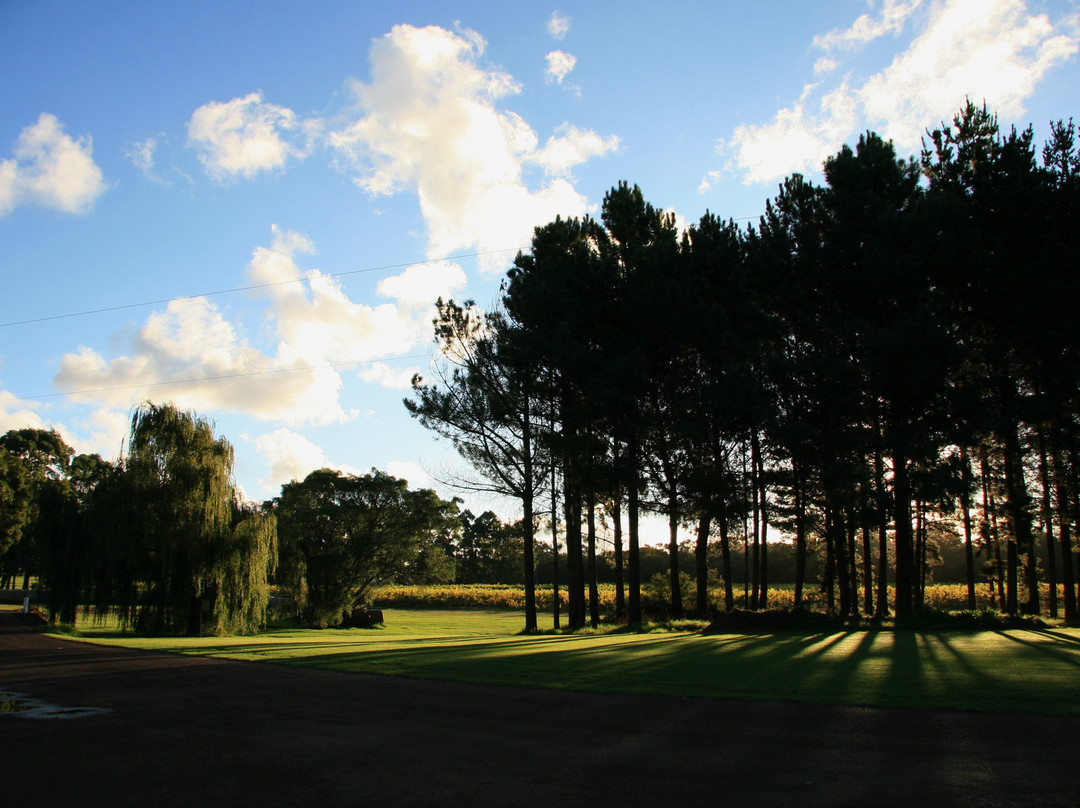 Wignalls Winery Cellar Door & Gourmet Gifts-奥尔巴尼必去景点