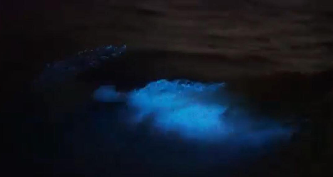 Taino Aqua Adventures-维切克岛必去景点