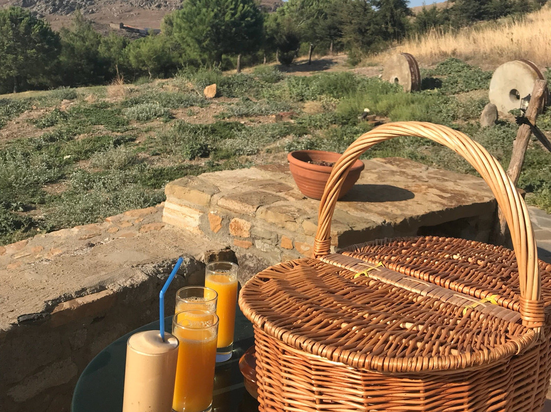 Limnos Windmills主图