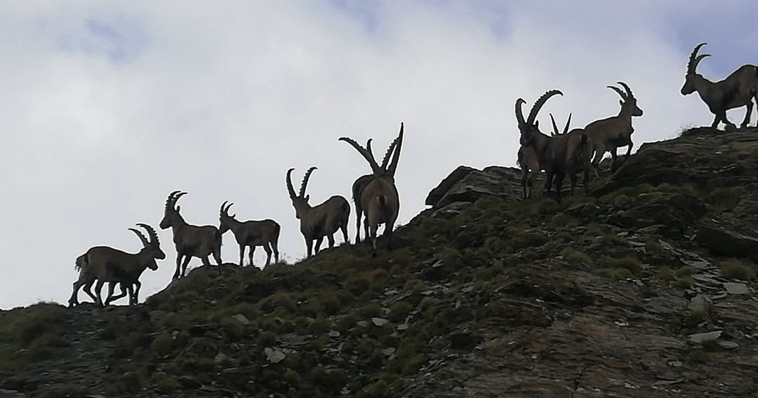 Corno Bussòla景点图片