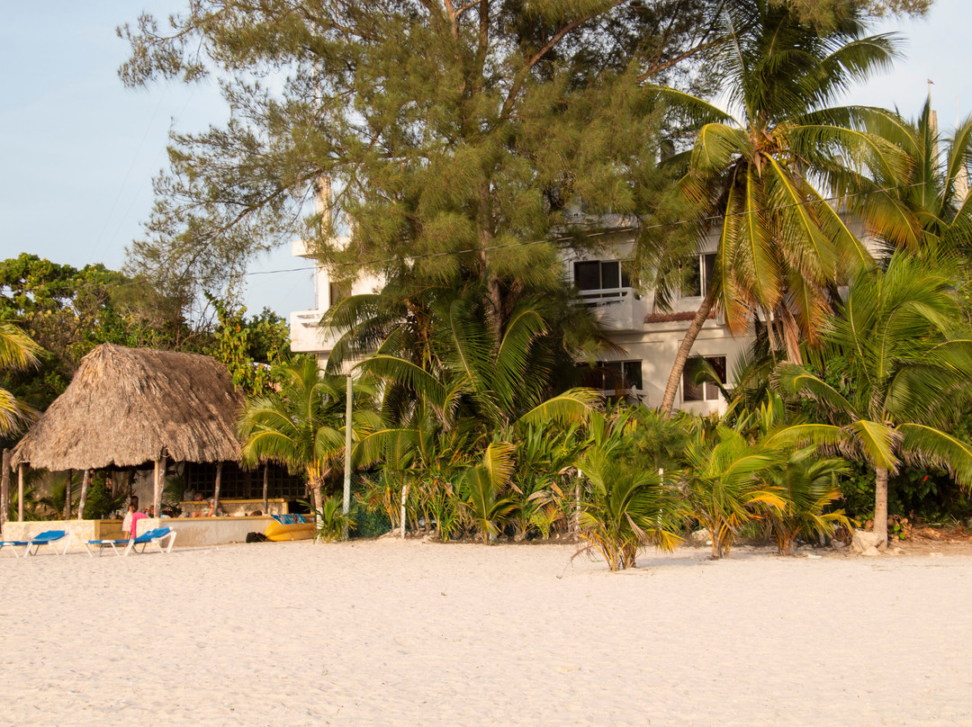 Hotel Maria del Carmen Celestun主图