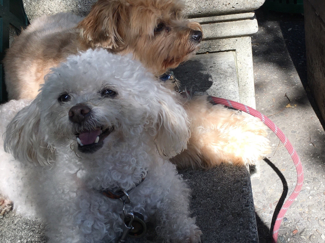 Civic Park-核桃溪必去景点