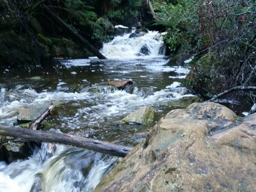 Holwell Gorge State Reserve-Holwell必去景点