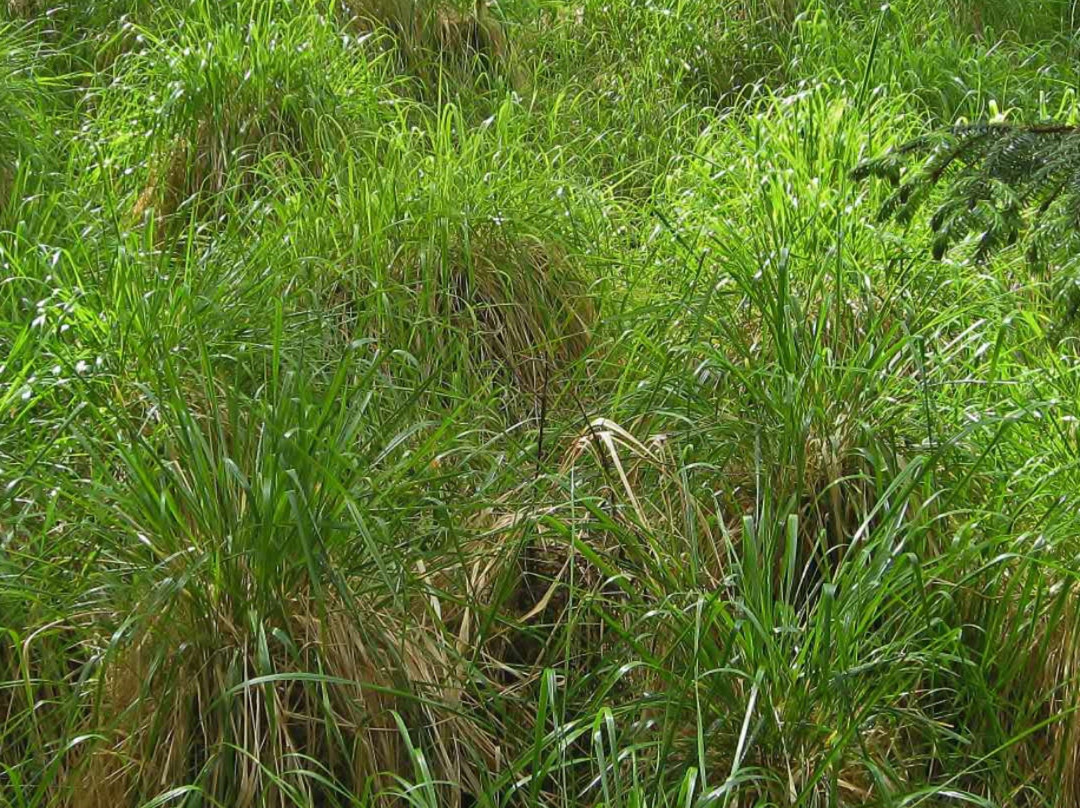 Ocean House at Tlaga Gawtlaas主图