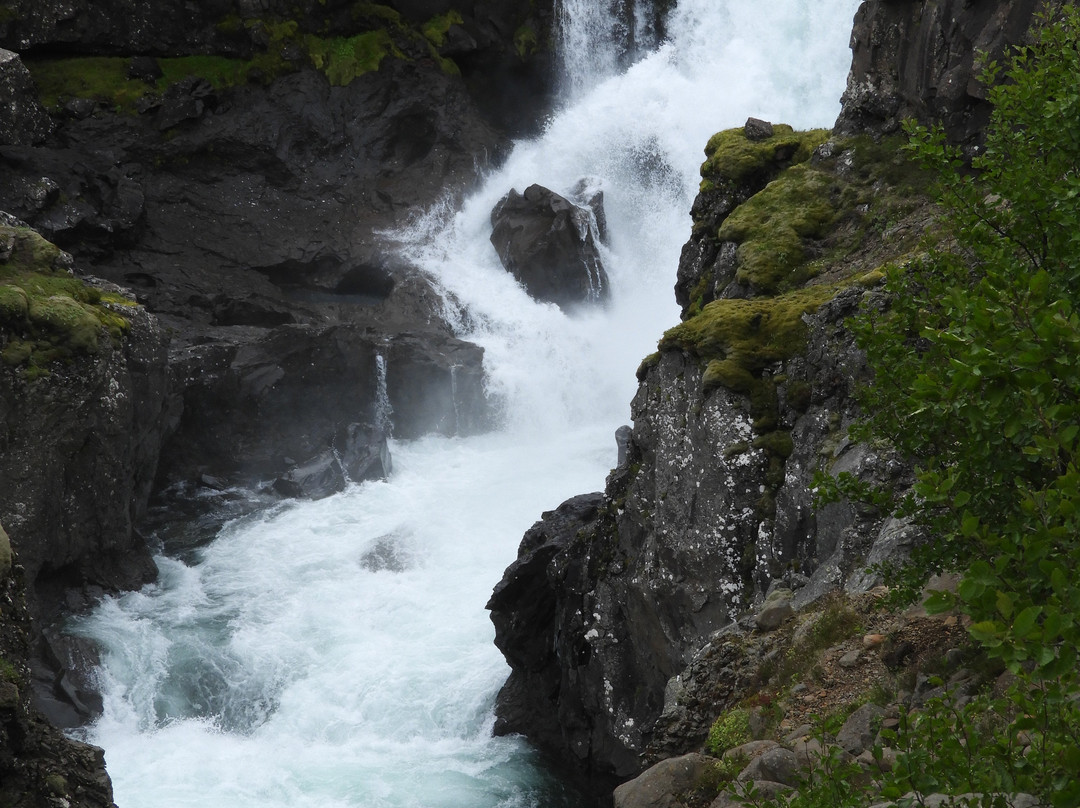 Sveinsstekksfoss-Djupivogur必去景点