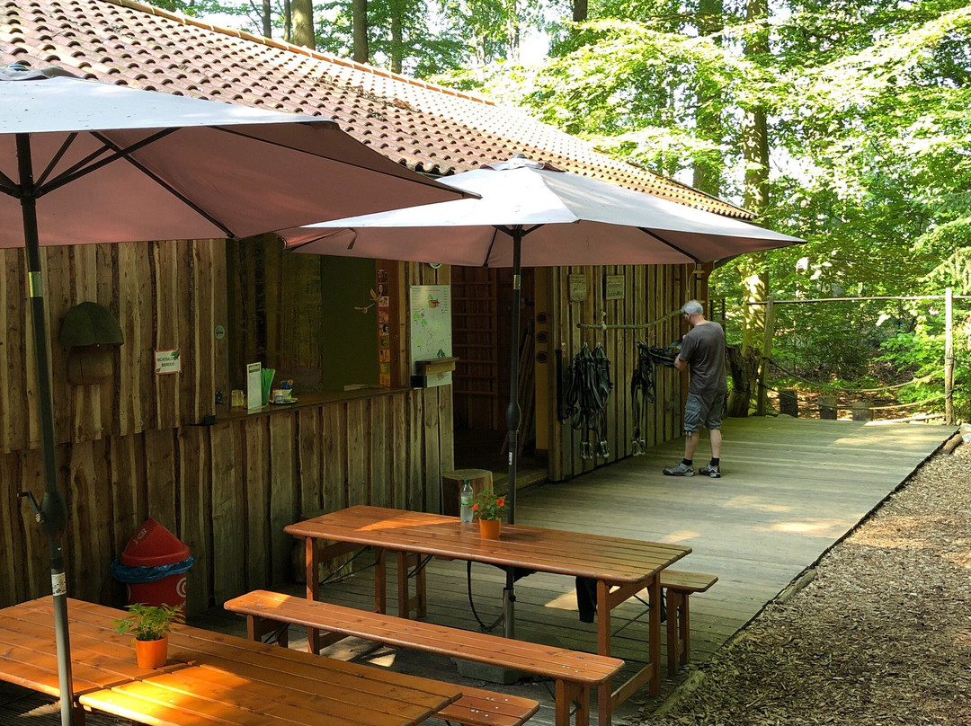 Kletterwald Scharnebeck-Scharnebeck必去景点