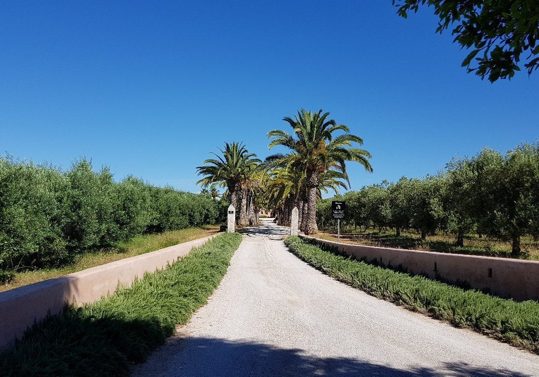 Monterosa Olive Oil Farm景点图片