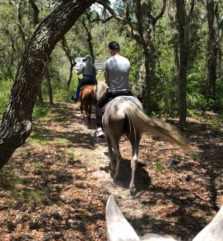 Horsespring Farm-莱克威尔士必去景点
