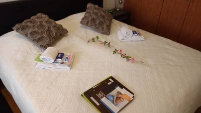 Rene's B&B-官方