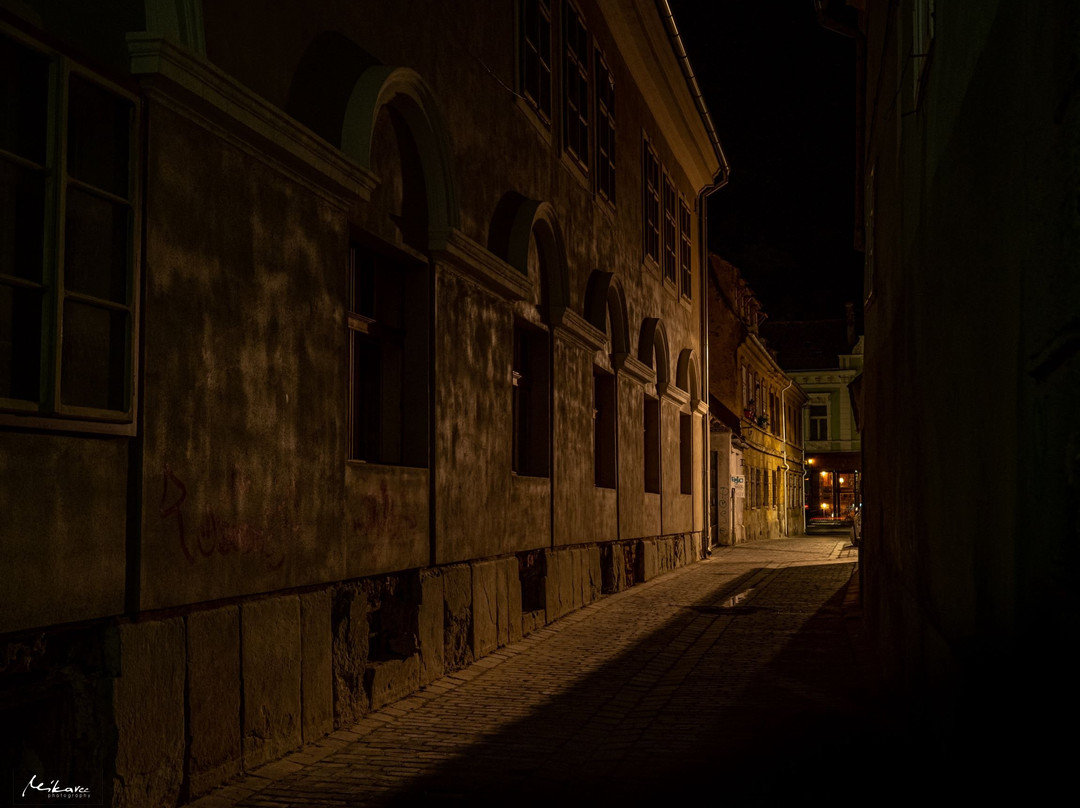 罗斯公寓民宿主图