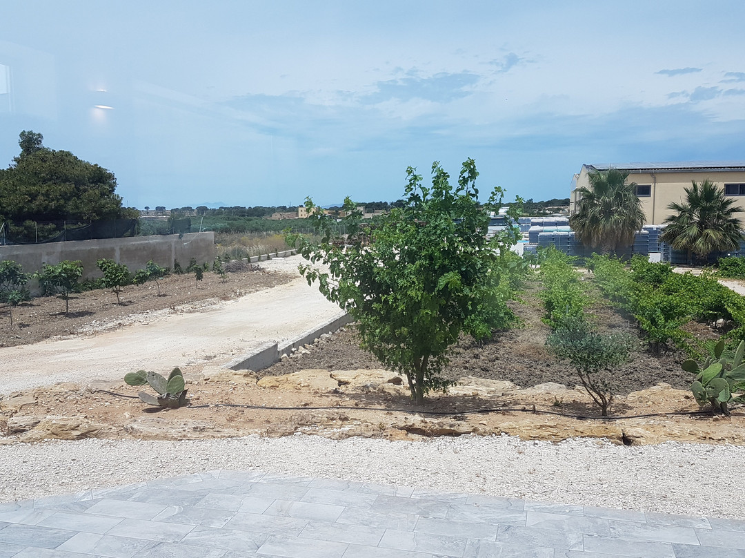 Cantine Paolini-马尔萨拉必去景点