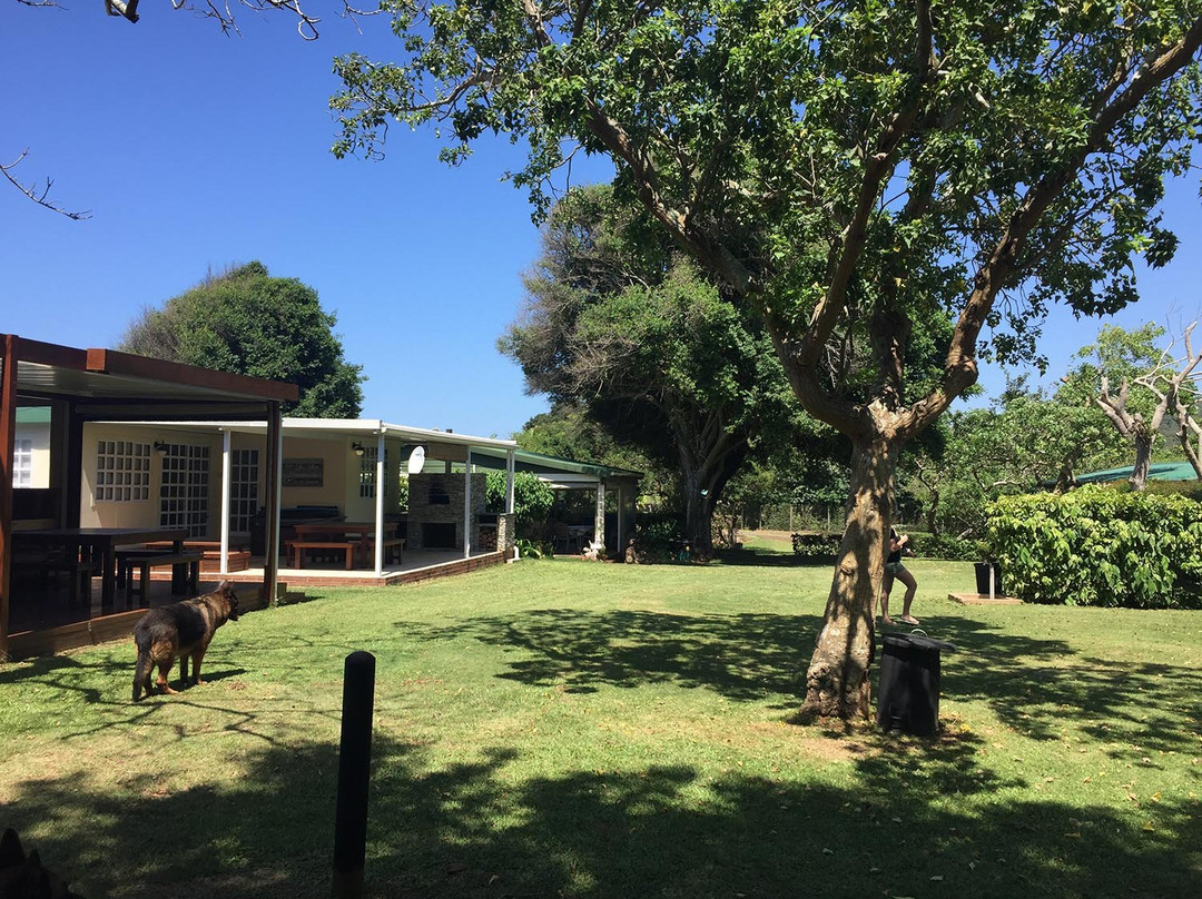 Mac Nicol's Caravan Park-Sihangwane必去景点