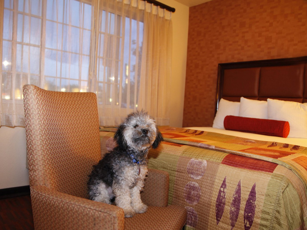 格兰杰拉酒店主图