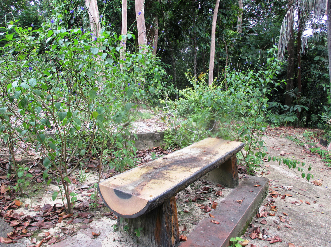 Kampung Putat Herb Garden-斯里巴加湾必去景点