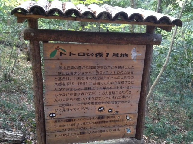 Totoro Forest-所泽市必去景点