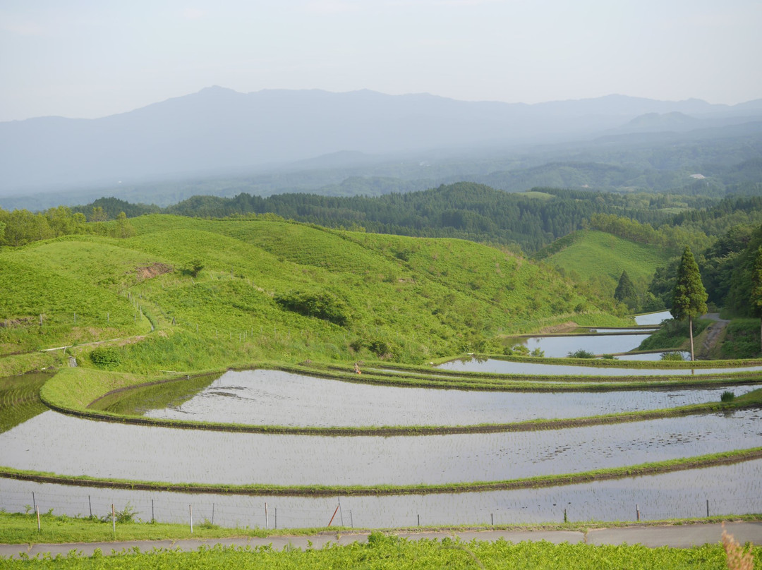 Ogi Rice Terraces景点图片