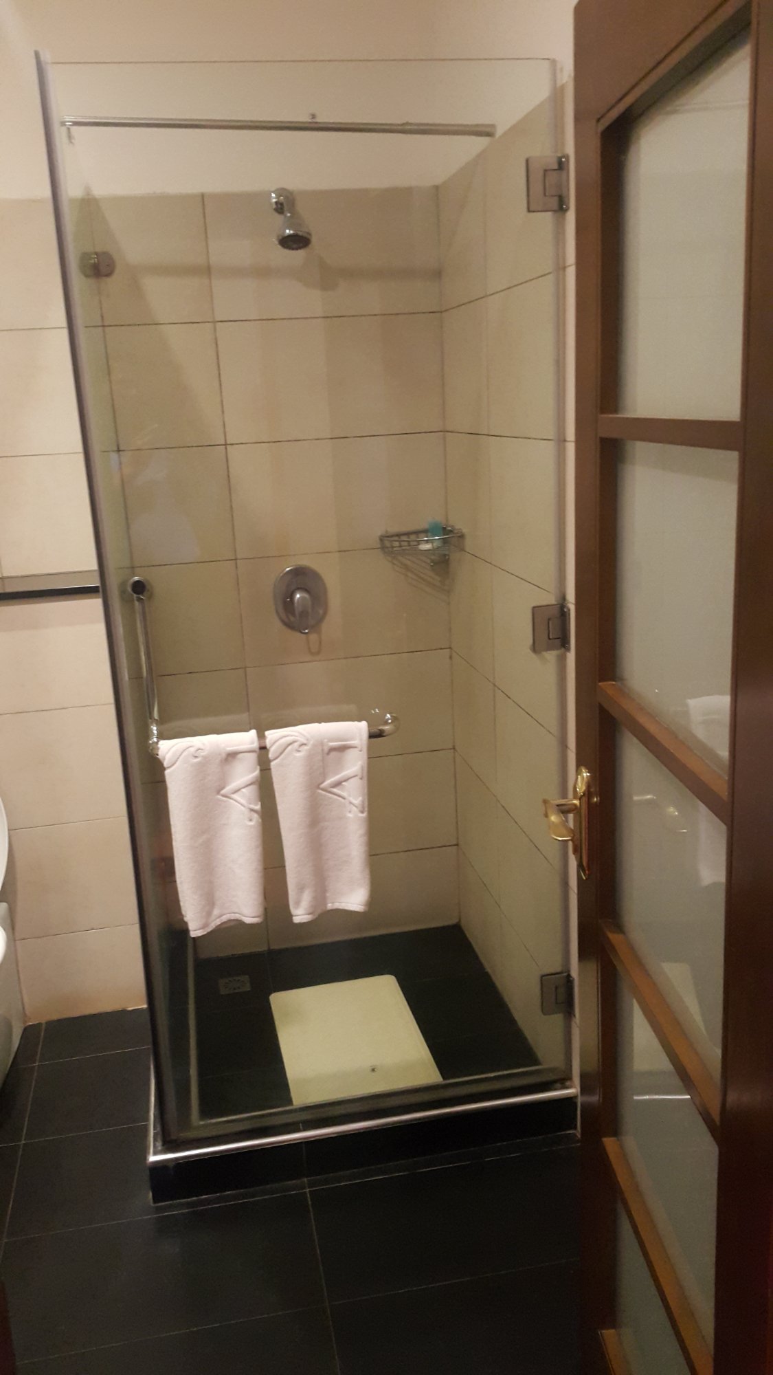 Alba Hotel Meru-浴室