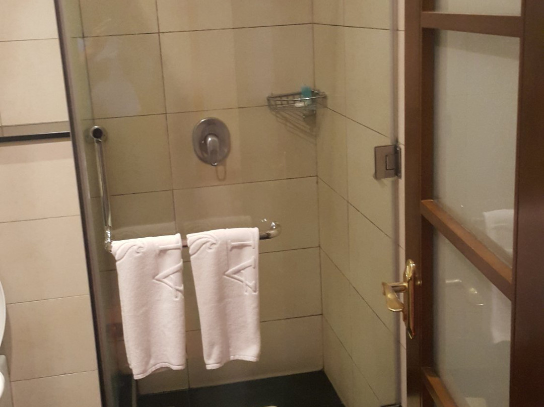 Alba Hotel Meru主图