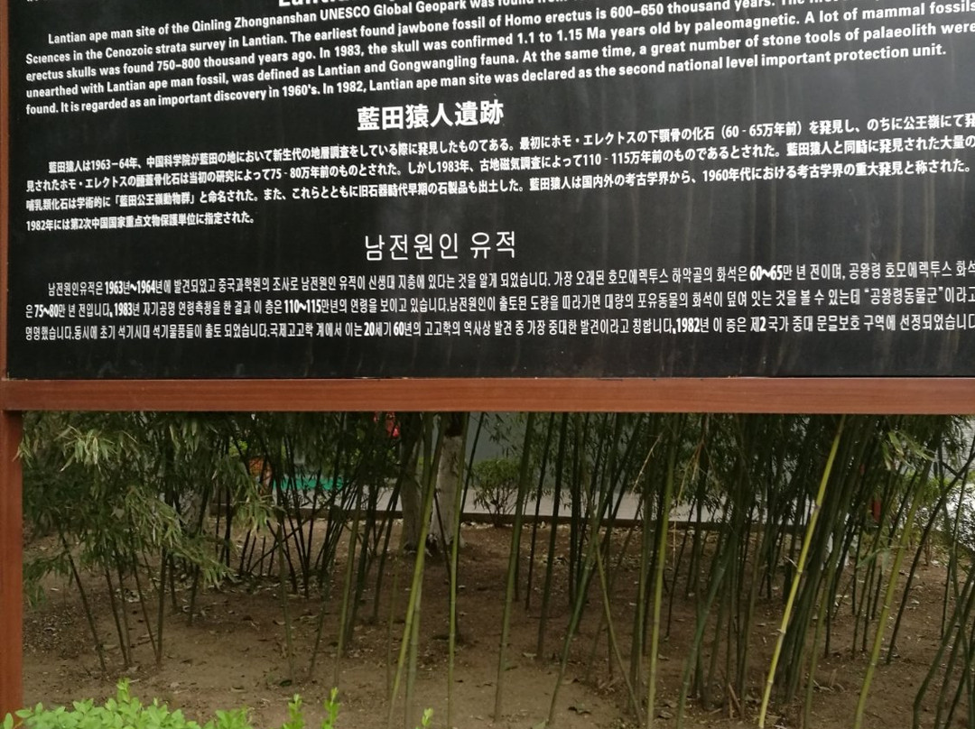 蓝田猿人遗址纪念馆景点图片
