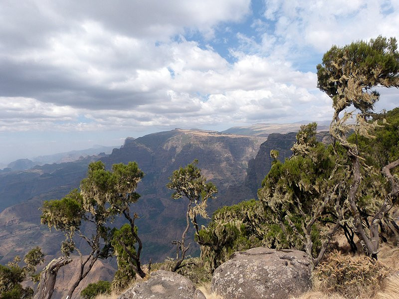 Trek Ethiopia Travel and Tours景点图片