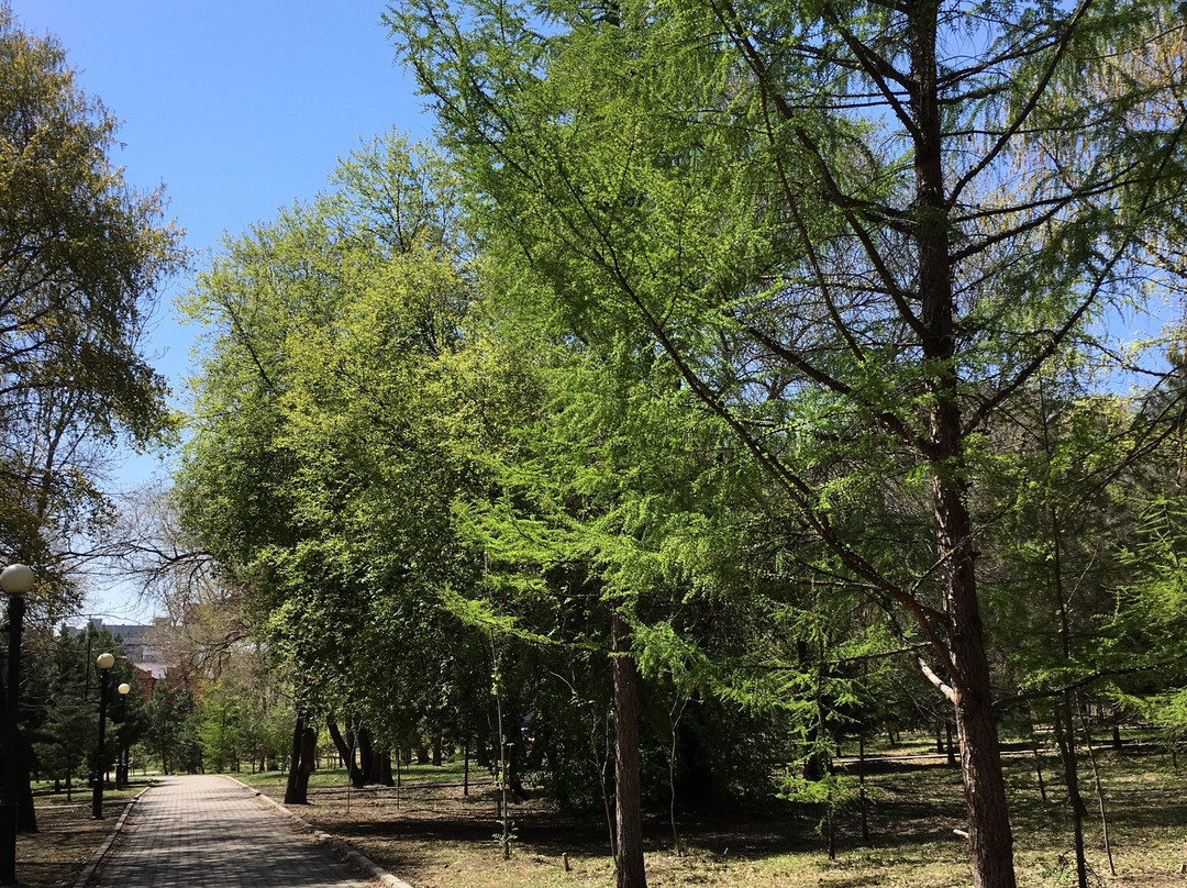 Park of Culture and Leisure Dinamo-哈巴罗夫斯克必去景点