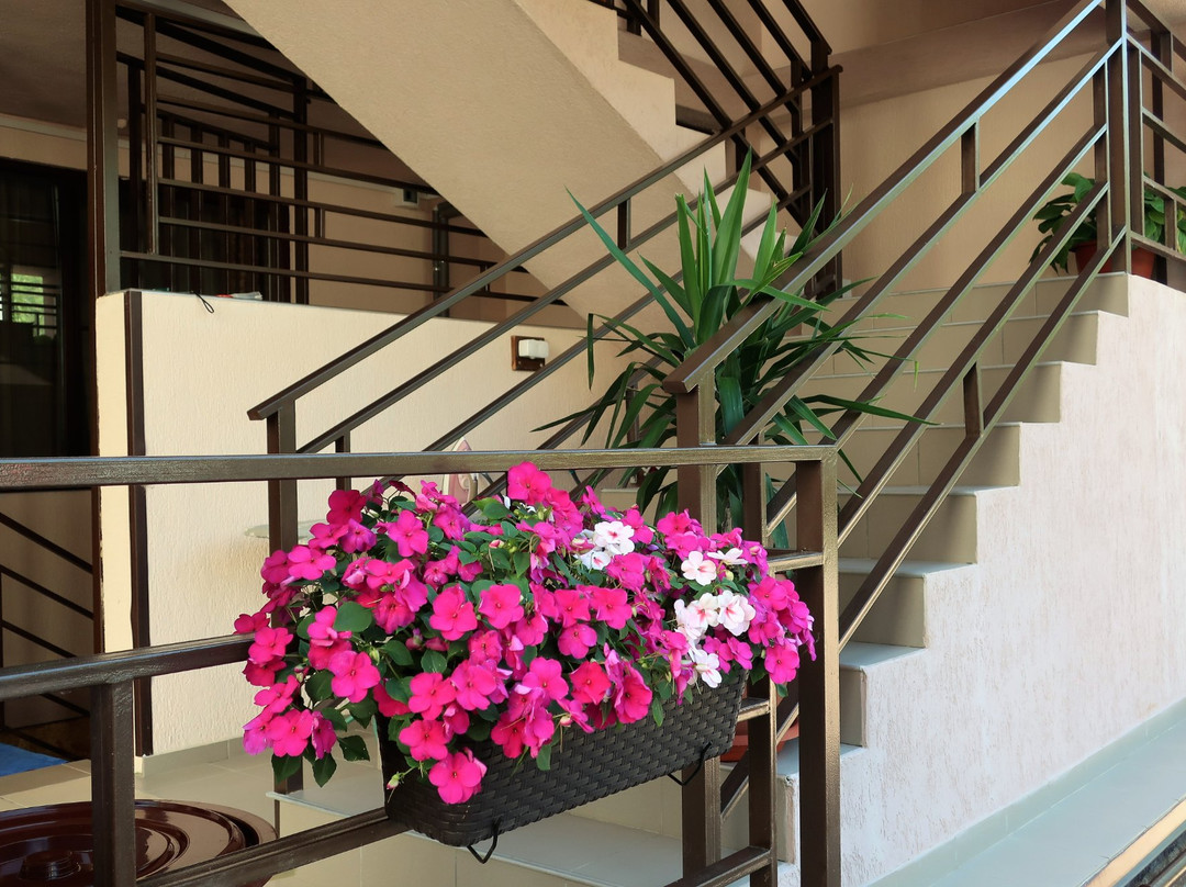 Guest House Shokolad主图