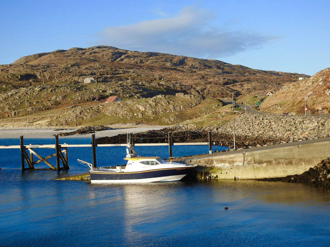 Hebridean Sea Tours景点图片